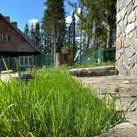 פרדיאל Pine Peak Apartments מראה חיצוני תמונה