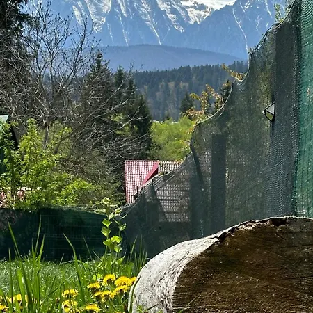 פרדיאל Pine Peak Apartments מראה חיצוני תמונה