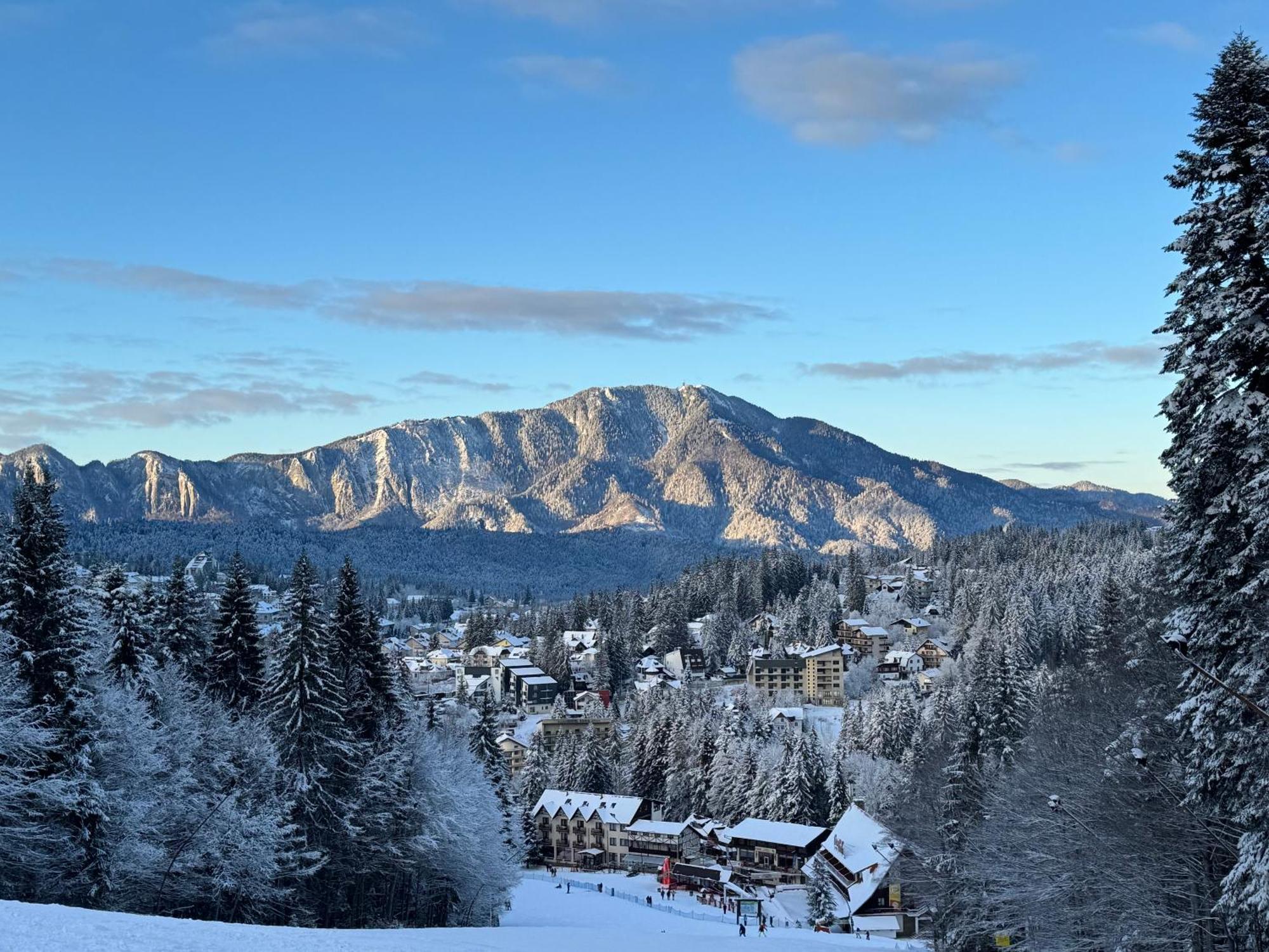 Pine Peak Predeal
