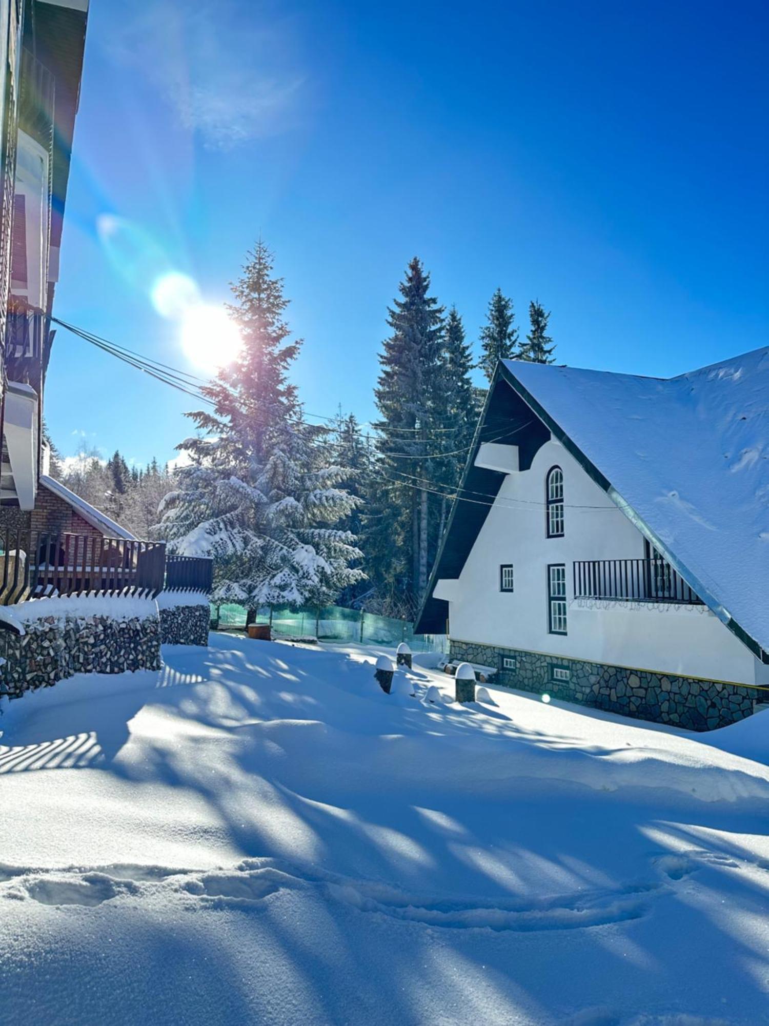 Appartement Pine Peak Predeal