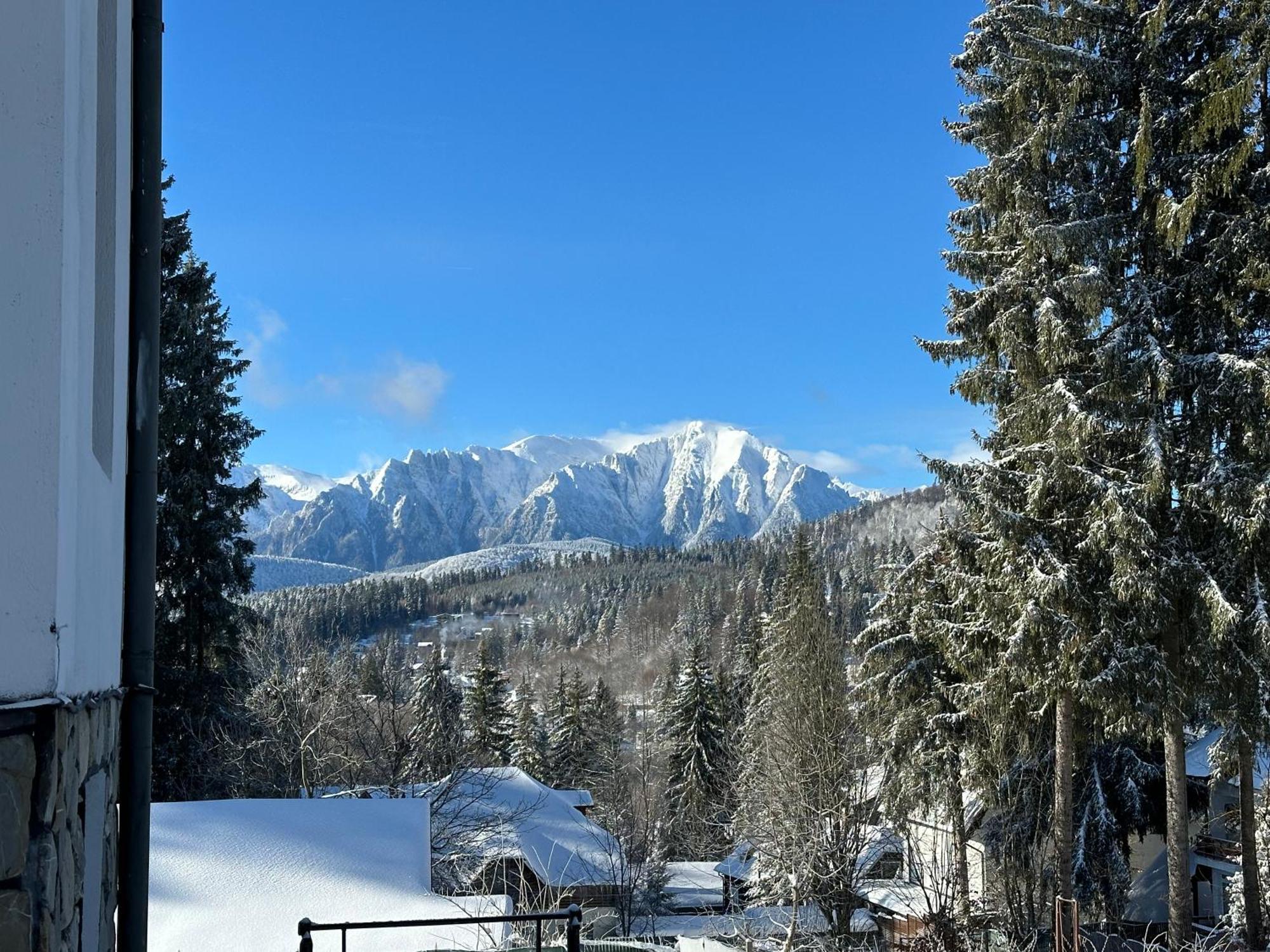 Pine Peak Appartement