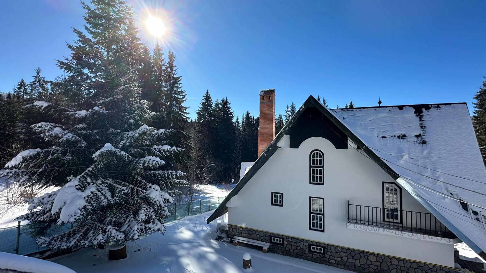 Appartement Pine Peak