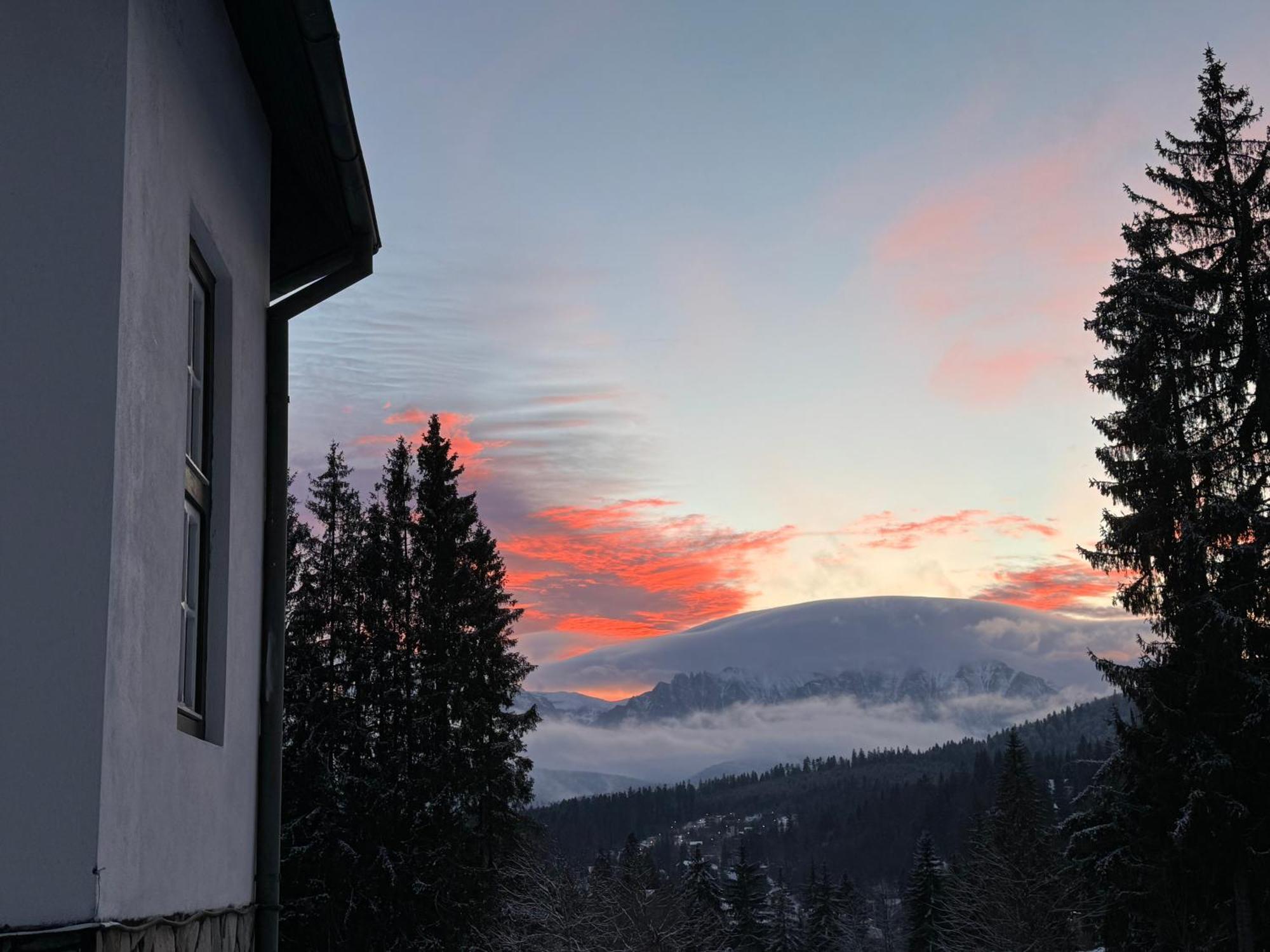 Pine Peak Appartement Predeal