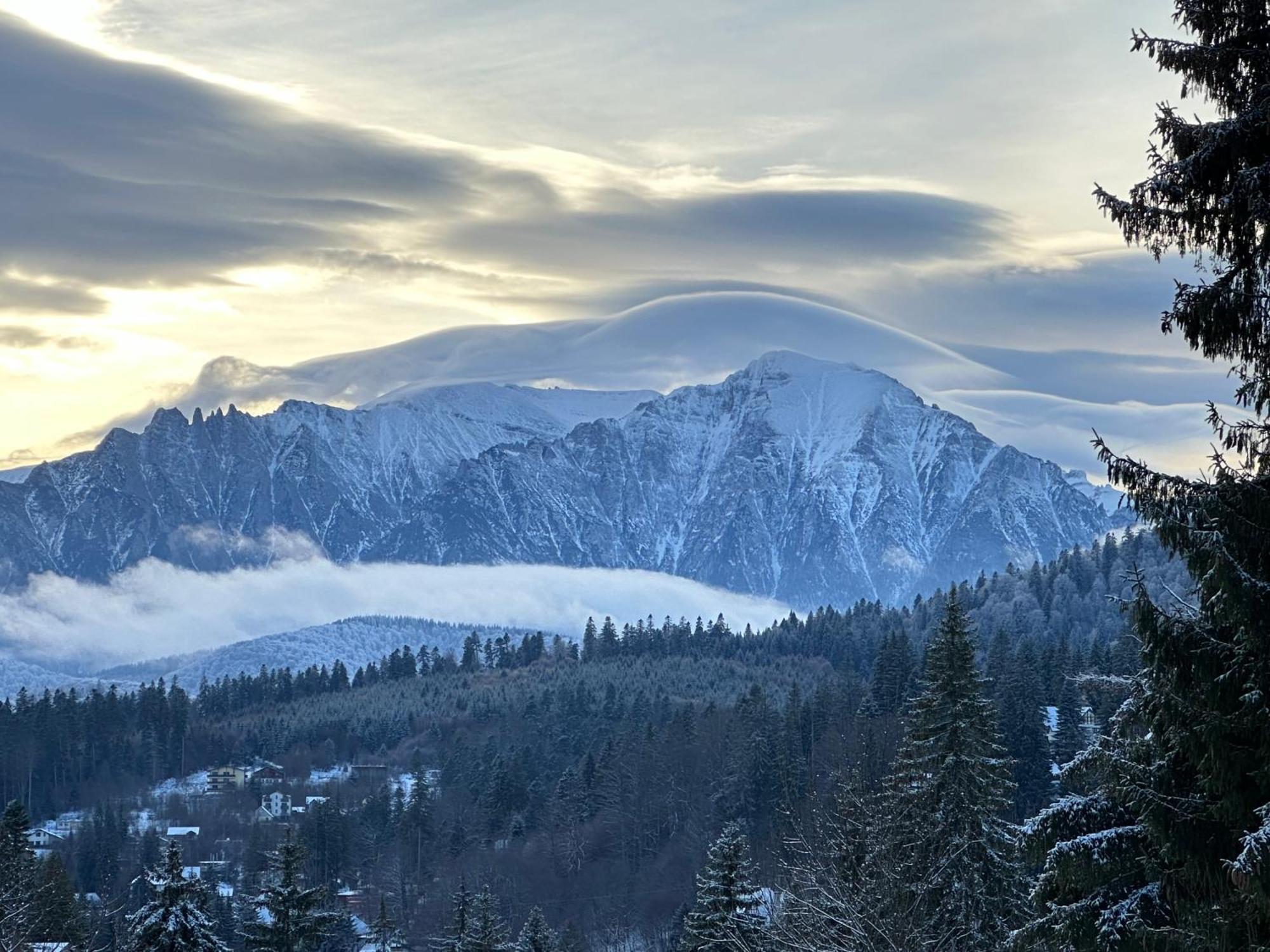 Appartement Pine Peak Predeal