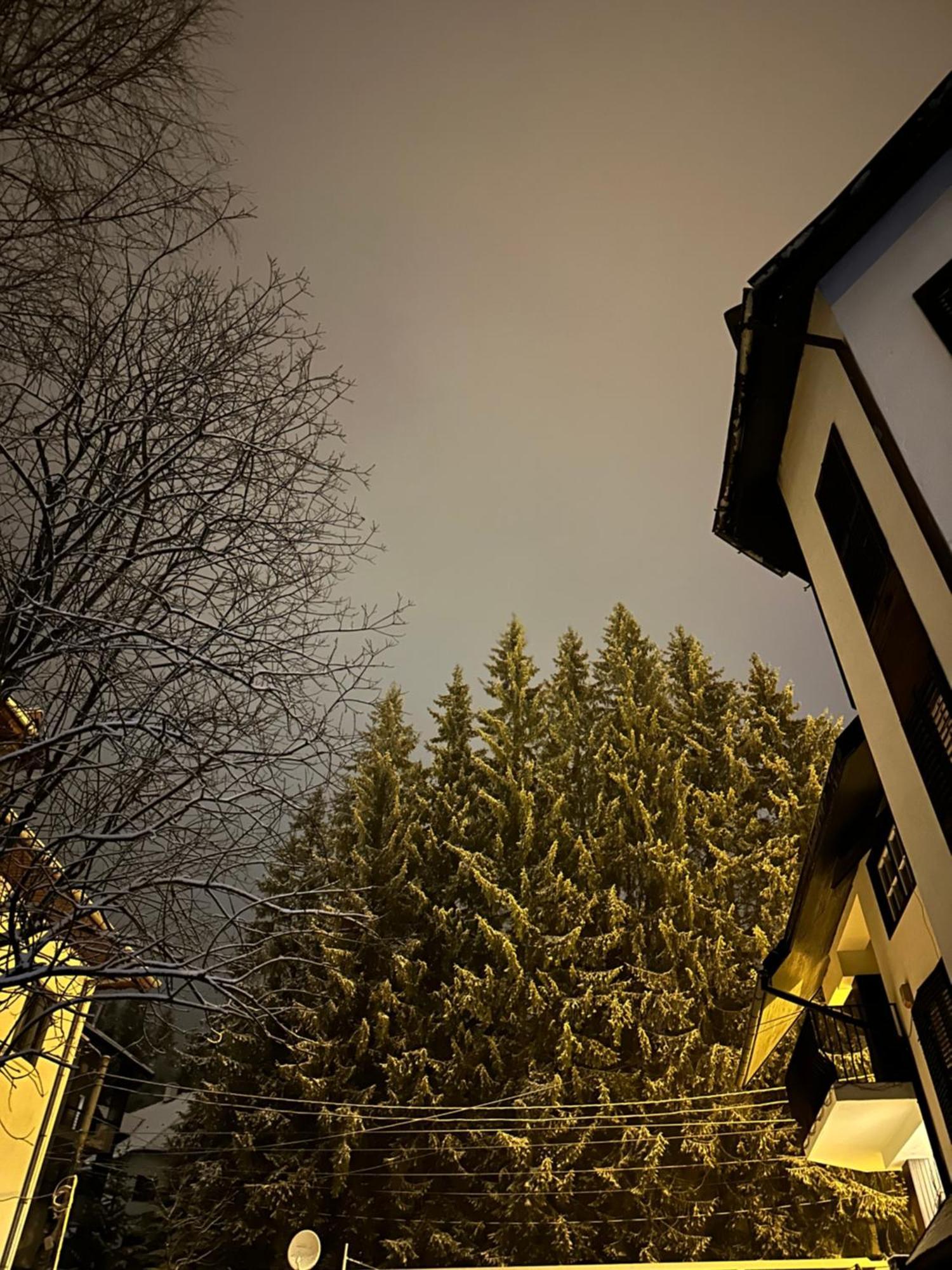 Pine Peak Appartement