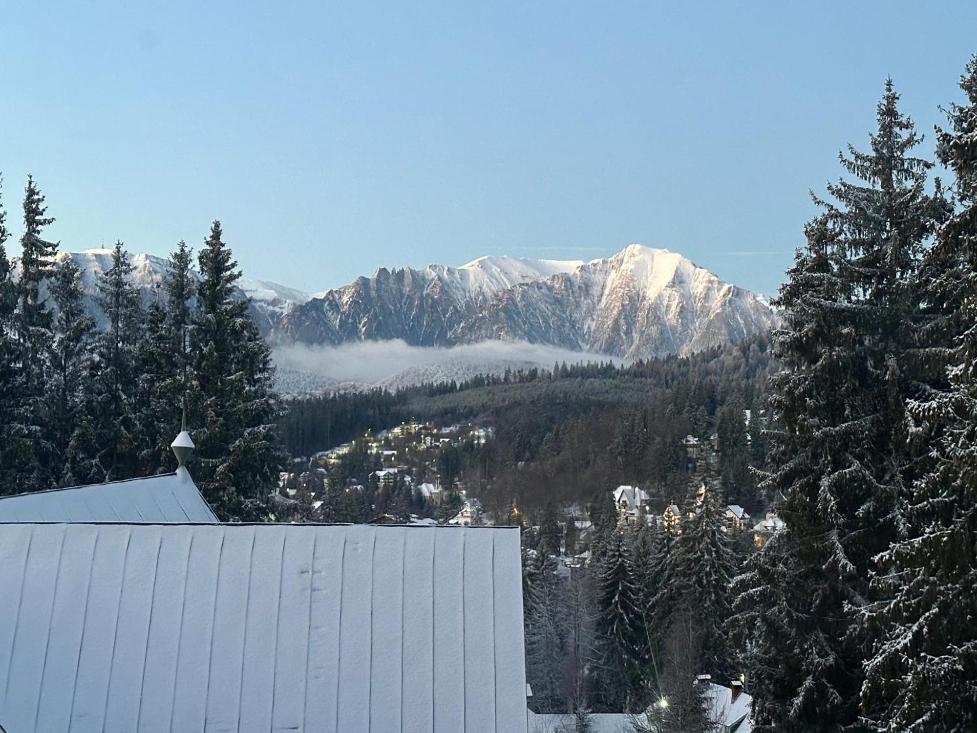 Pine Peak Appartement