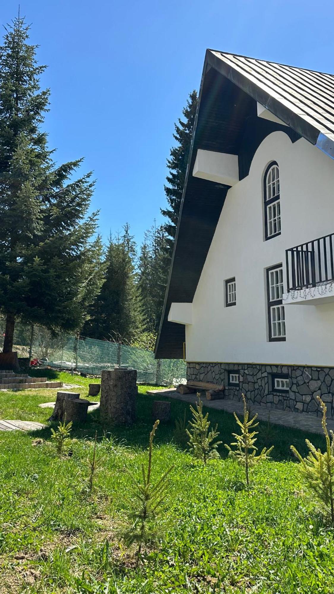 Pine Peak דירה *
