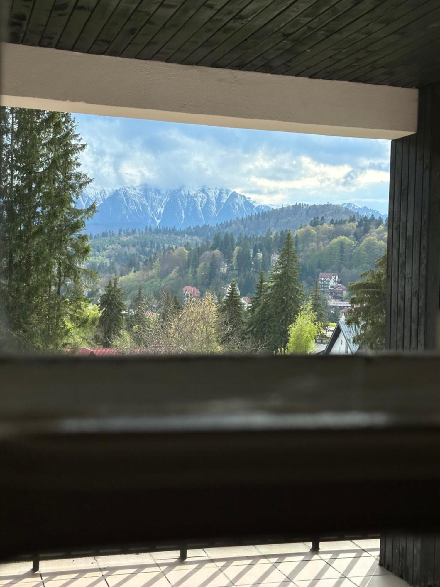 Appartement Pine Peak
