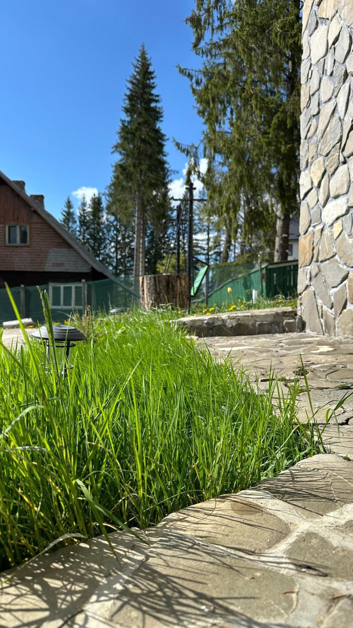 Pine Peak Predeal