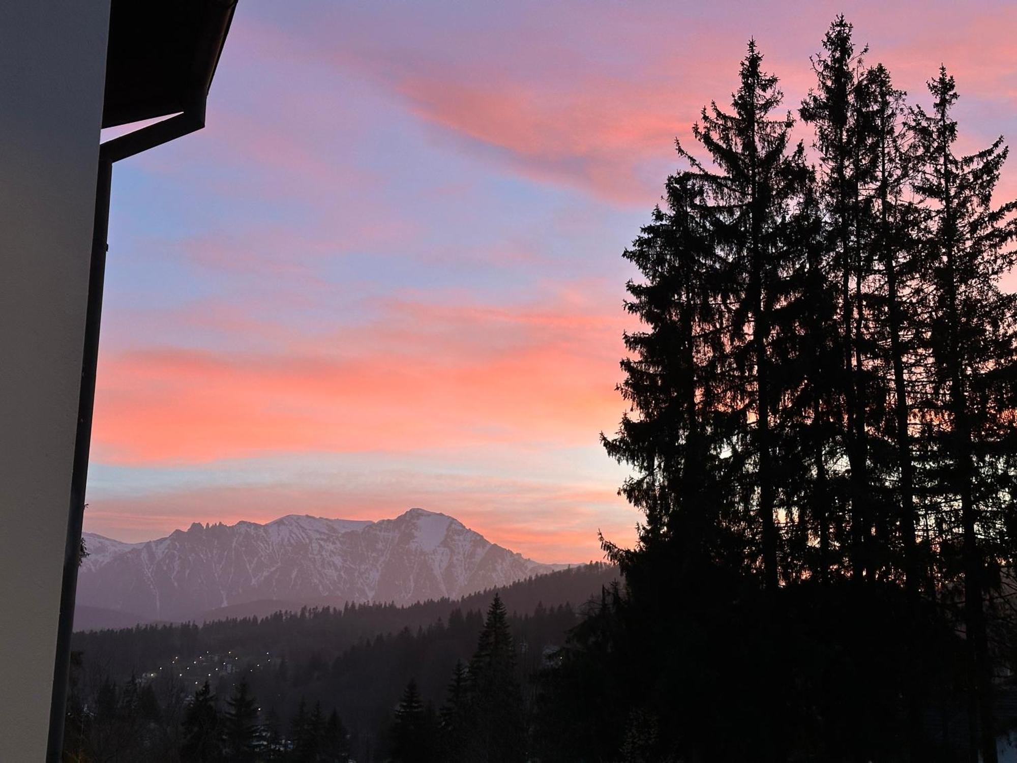 Pine Peak * Predeal