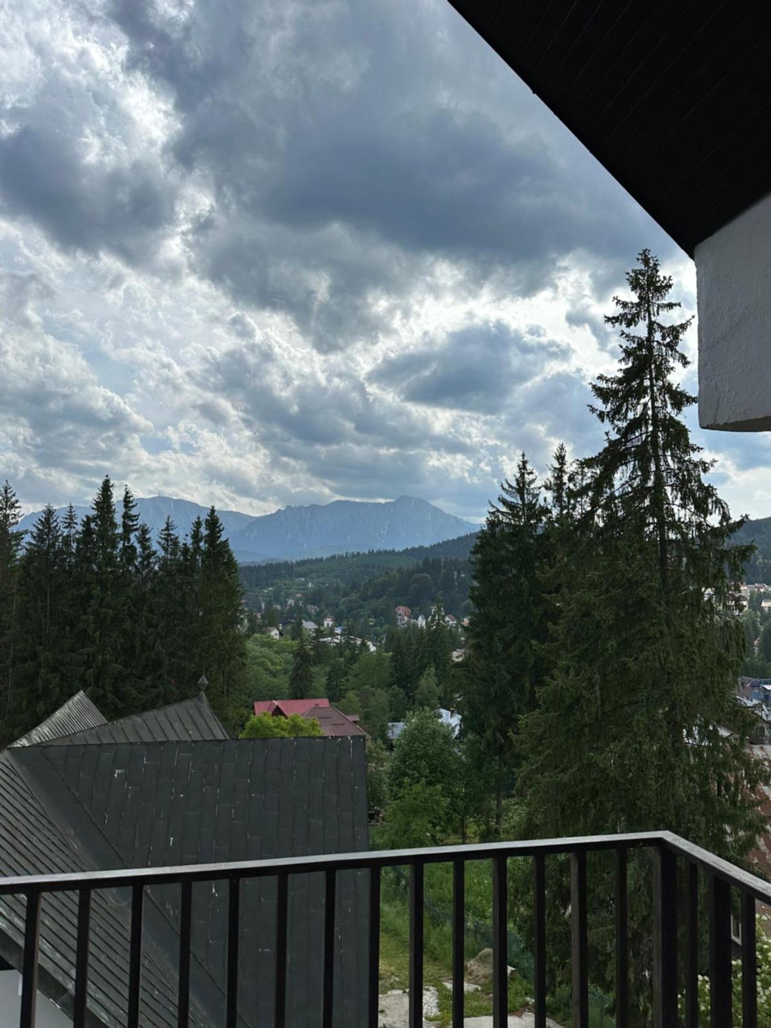 Pine Peak Appartement