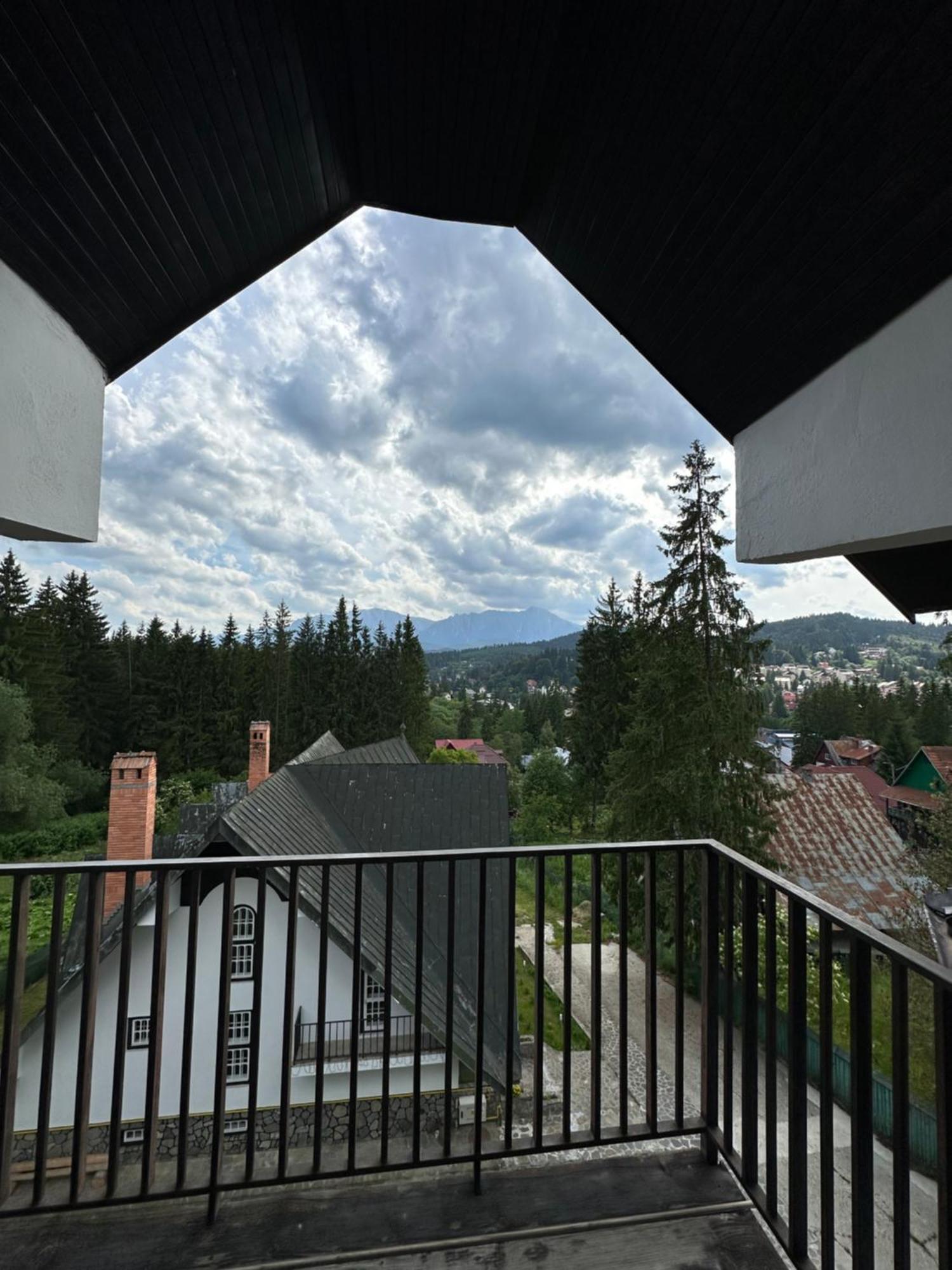 Appartement Pine Peak Predeal