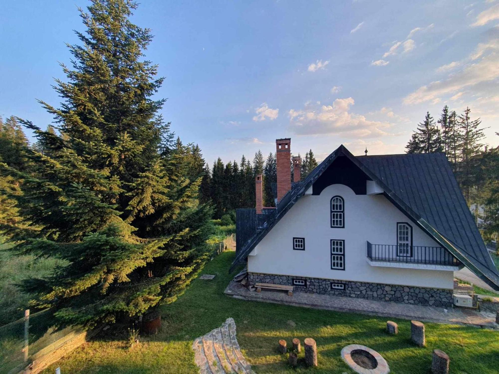 Pine Peak * Predeal