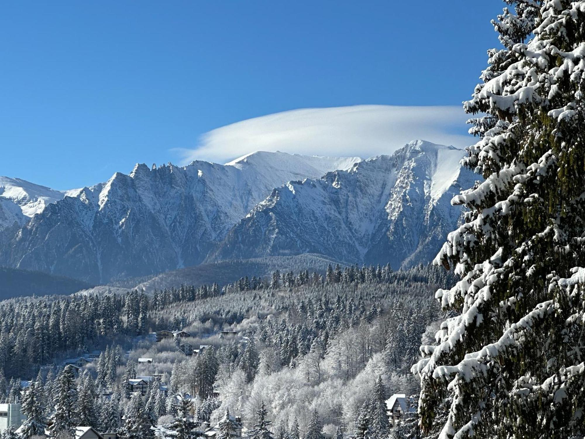 Pine Peak Appartement *