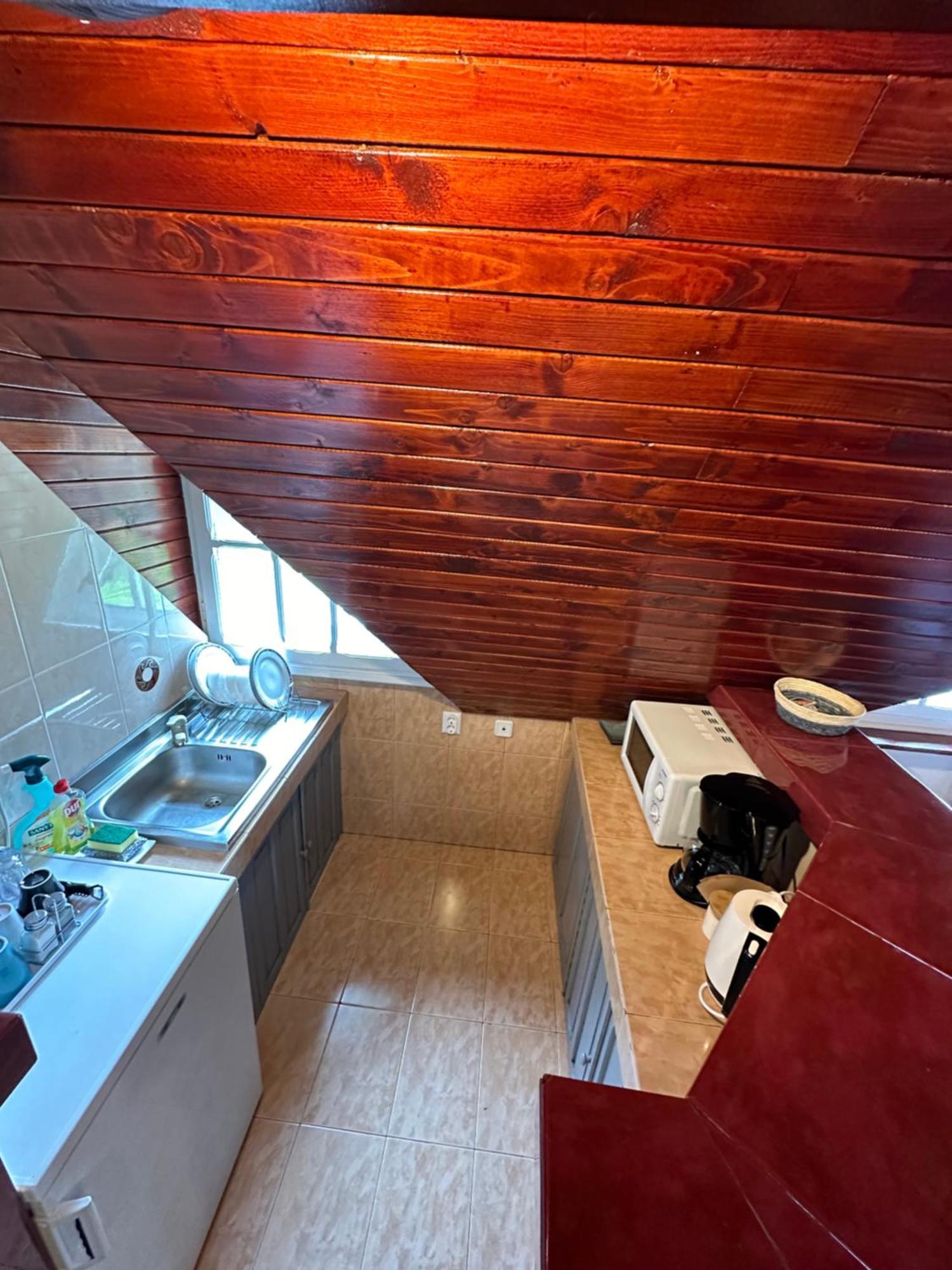 Appartement Pine Peak Predeal
