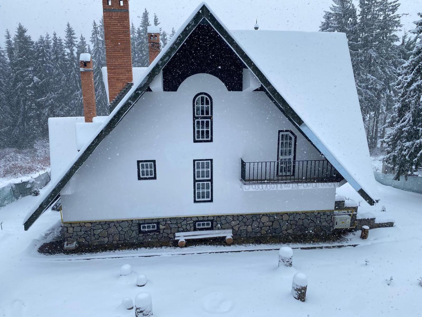 Pine Peak Appartement